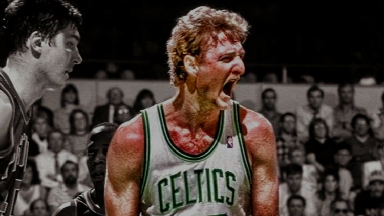 Posters Larry Bird