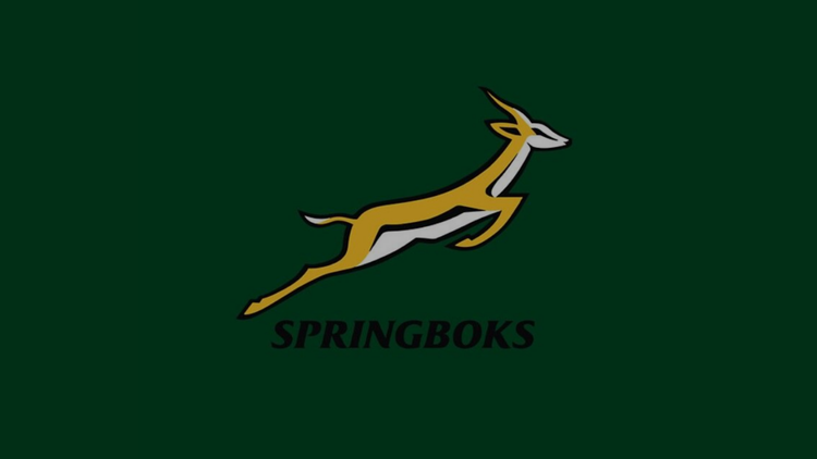 Posters Springboks Afrique du Sud Rugby