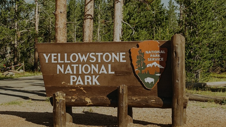 Posters Yellowstone