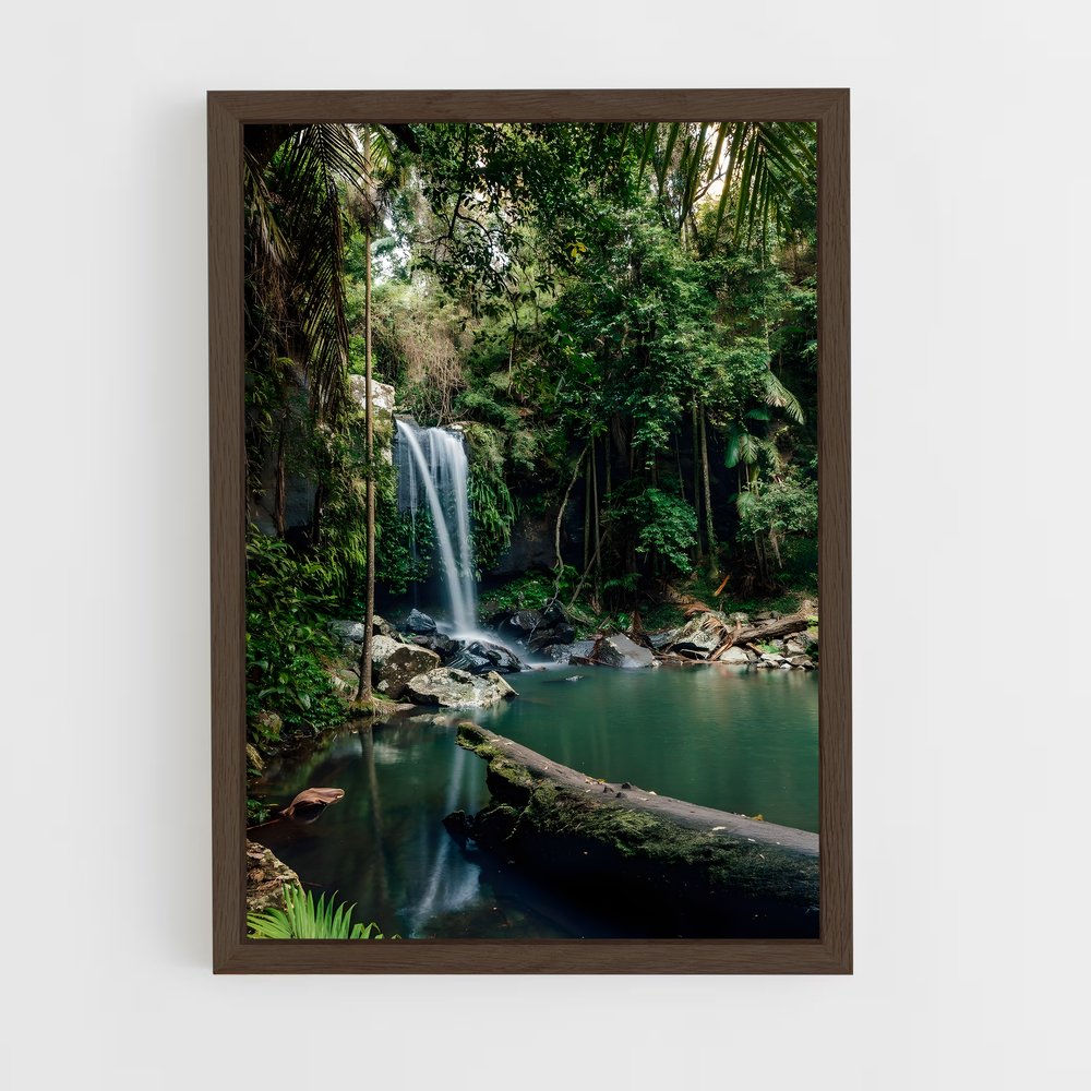 amazonia-1 cadre Bois foncé