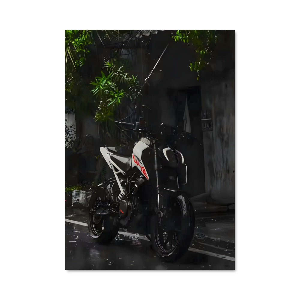 Poster 390 duke 82537