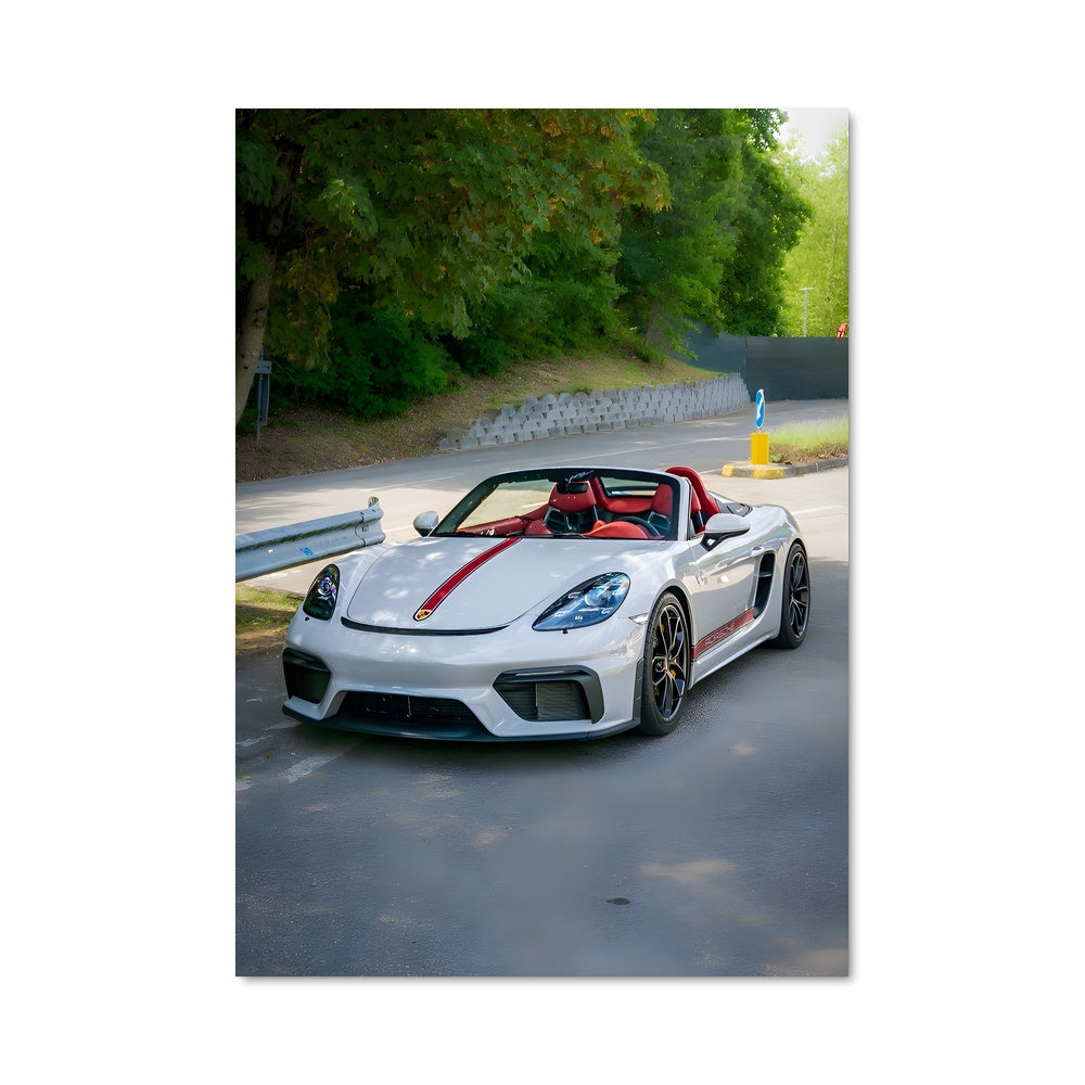 Poster 718 spyder 79221