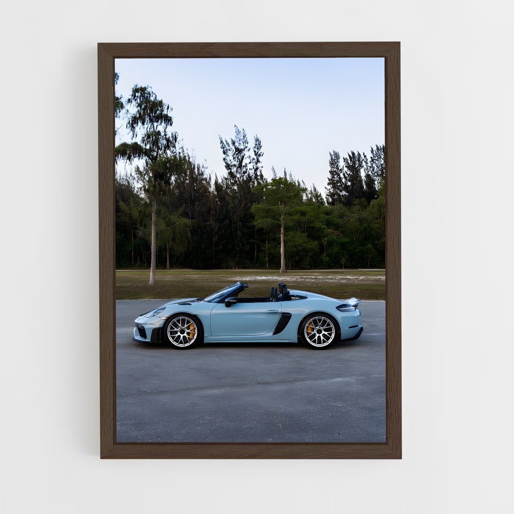 ap-718 spyder-2 cadre Bois foncé
