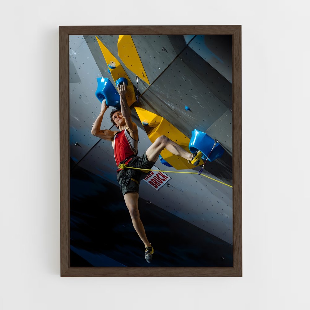ap-adam ondra-7 cadre Bois foncé