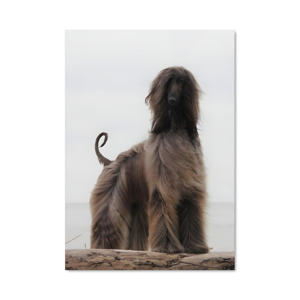 Poster Le Gardien du Tronc