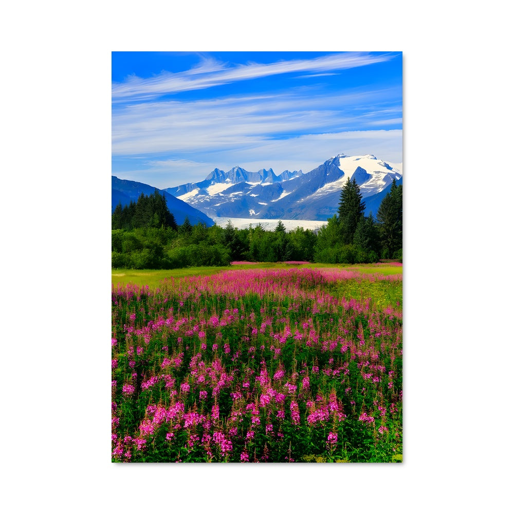 Poster Champs Alaskiens