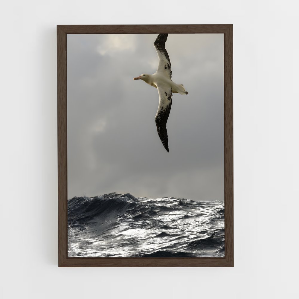 ap-albatross-3 cadre Bois foncé