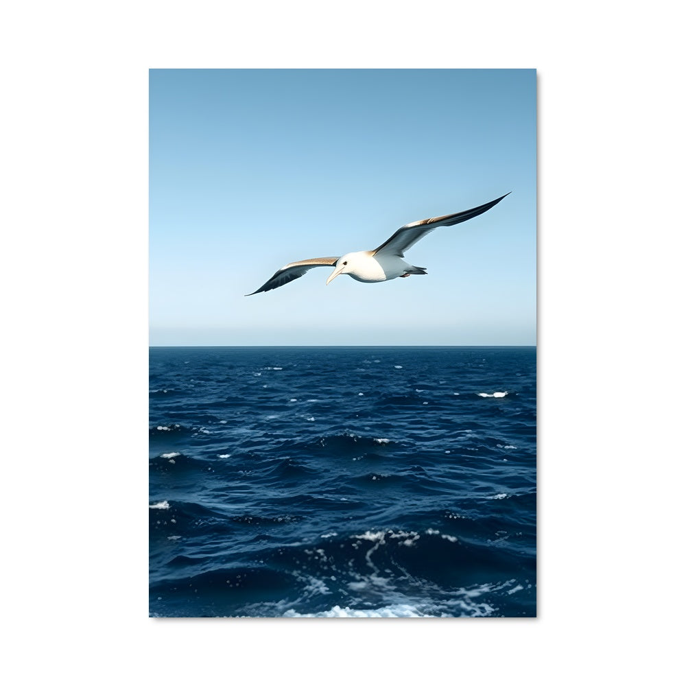 Poster Vol des Albatros
