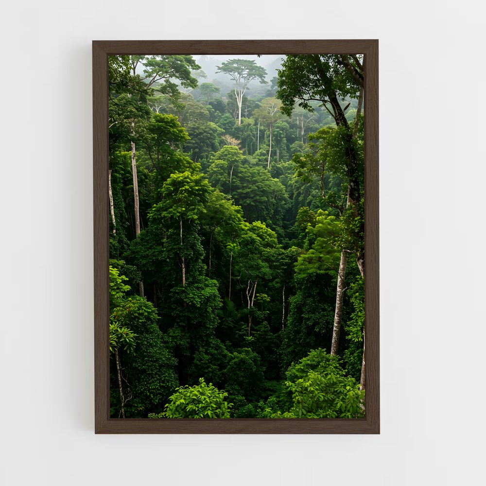 ap-amazon rainforest-9 cadre Bois foncé