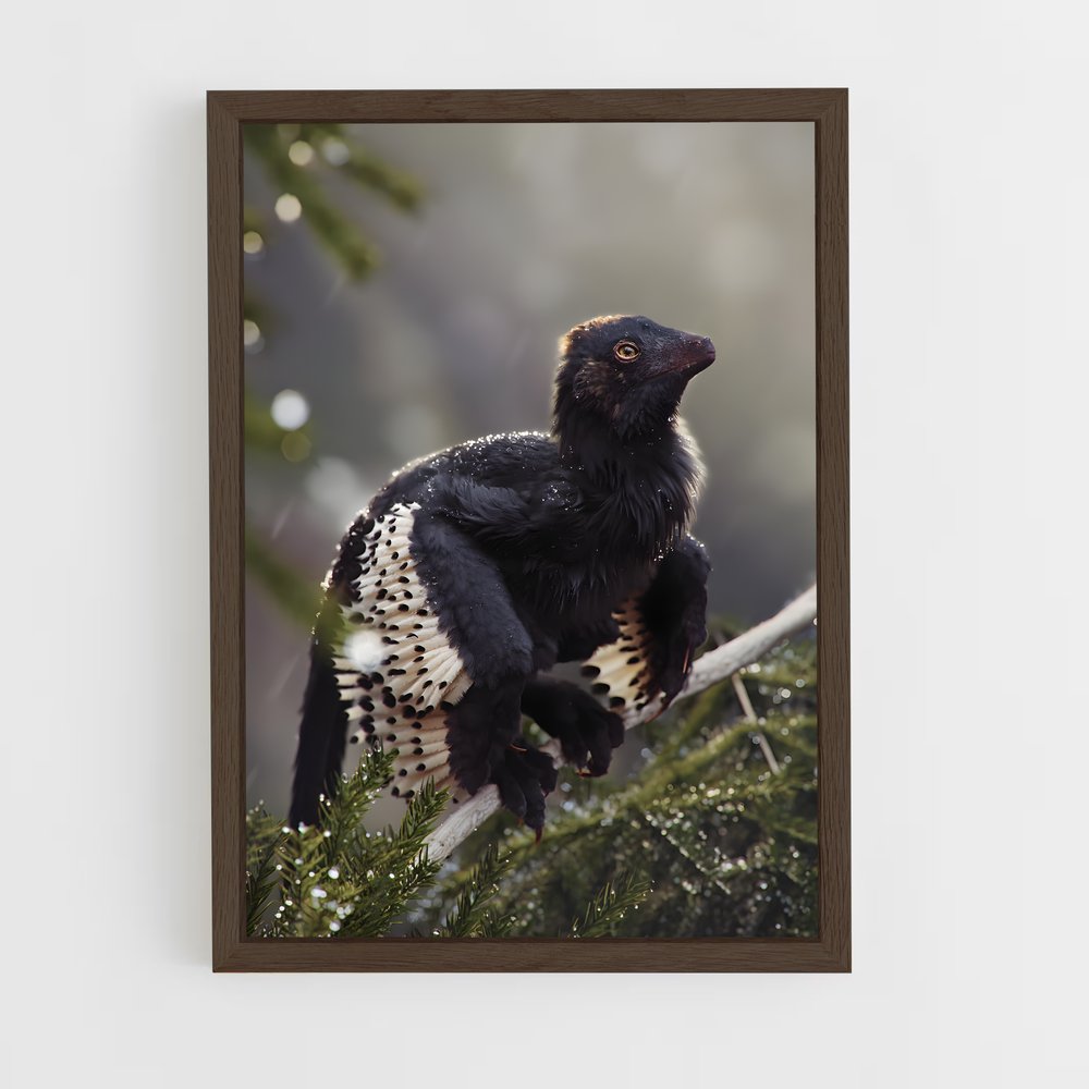 ap-archaeopteryx-1 cadre Bois foncé