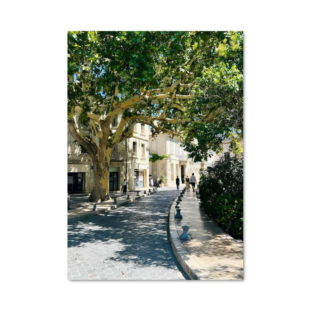 Poster L'Arbre de la Rue