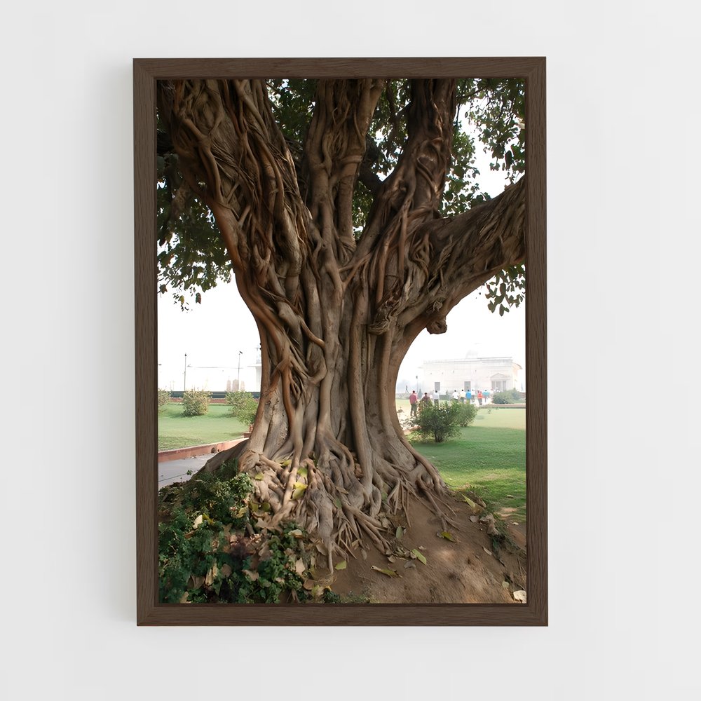 ap-banyan tree-4 cadre Bois foncé