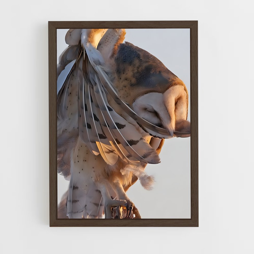 ap-barn owl-6 cadre Bois foncé