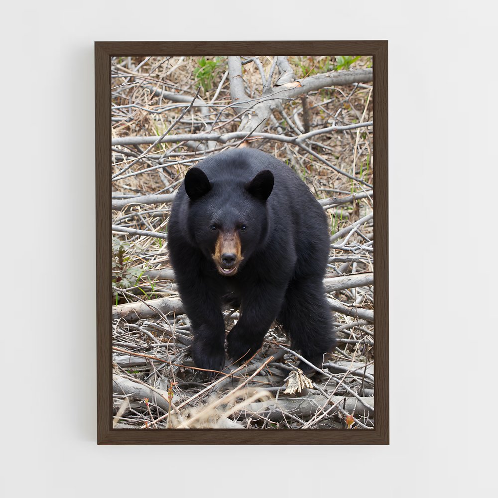 ap-bear-2 cadre Bois foncé