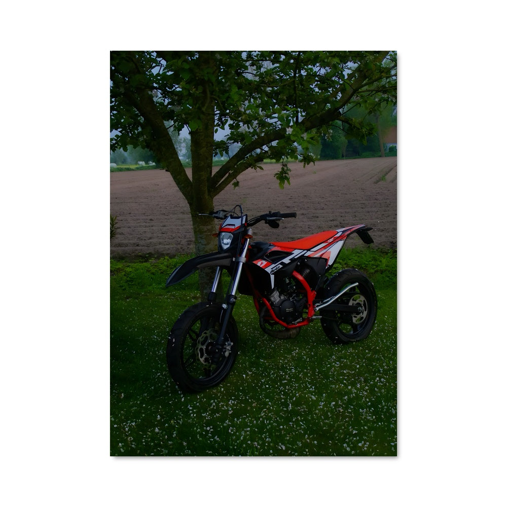 Poster Évasion Sous l'Arbre