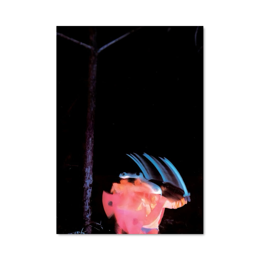Poster Envol Nocturne