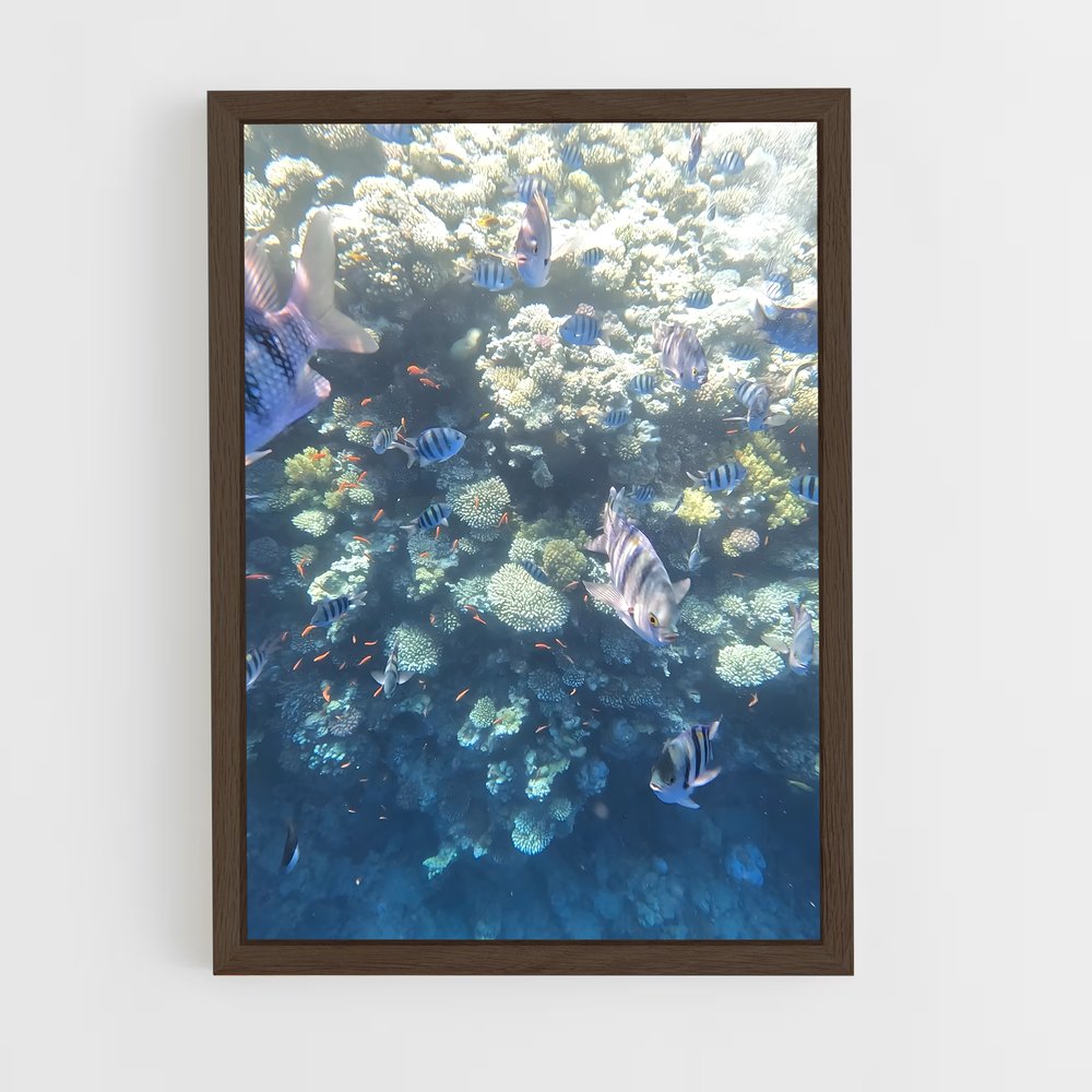ap-blue hole dahab egypt-2 cadre Bois foncé