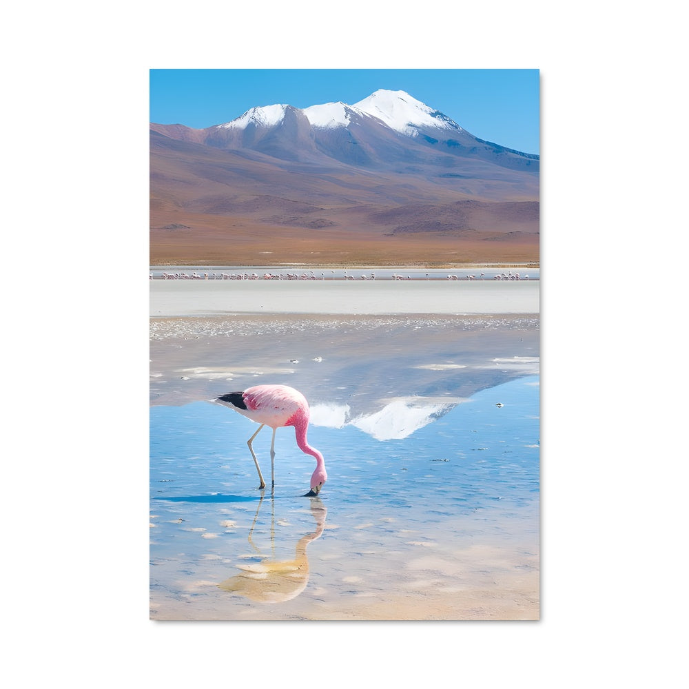 Poster Flamant des Andes