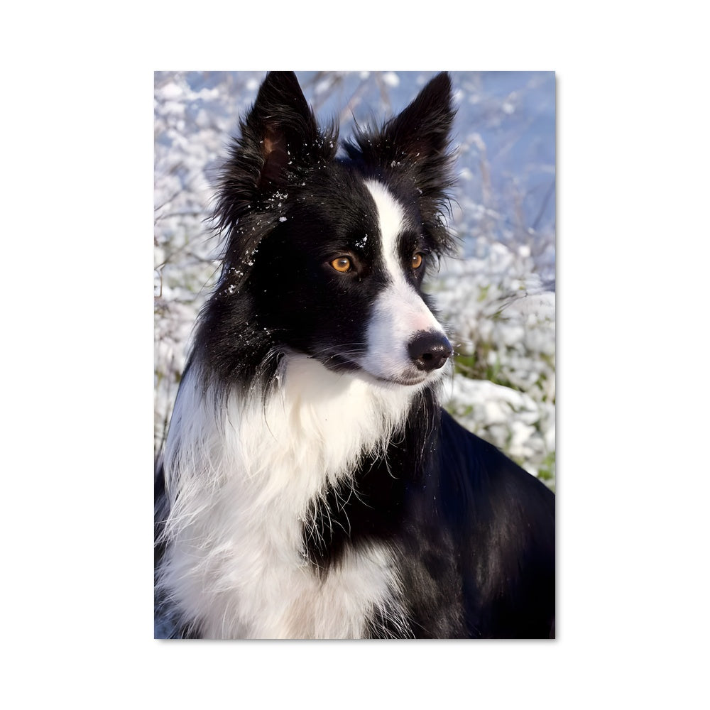 Poster Neige et Complicité