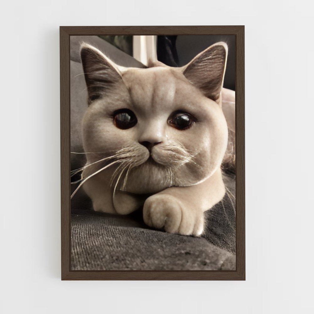 ap-british shorthair-3 cadre Bois foncé