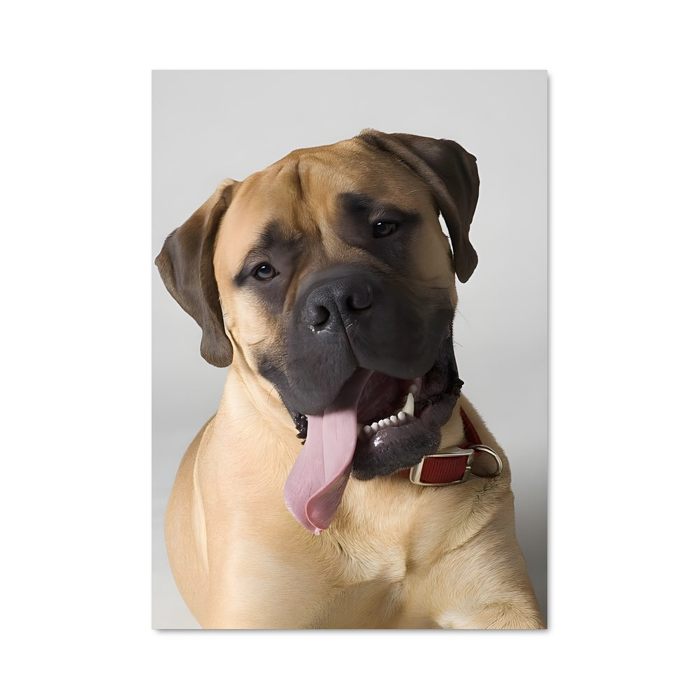 Poster Bullmastiff Joyeux