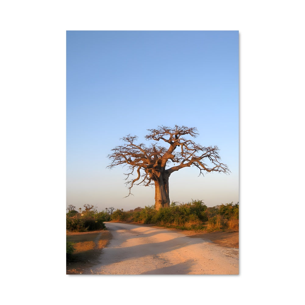 Poster Baobab Mystique