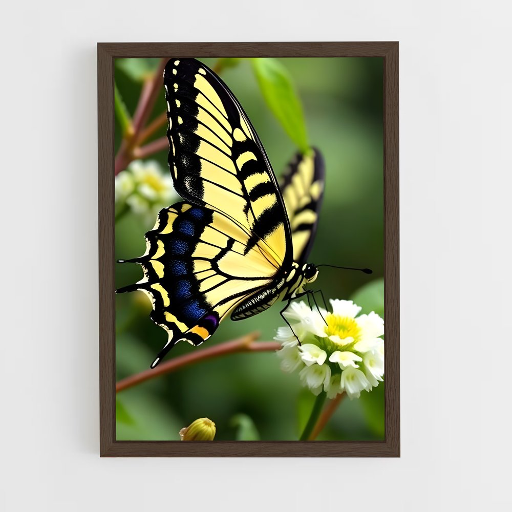 ap-butterfly-14 cadre Bois foncé