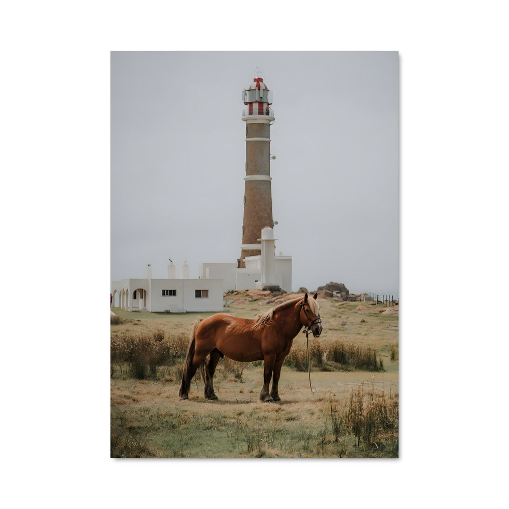 Poster Lumière Équestre