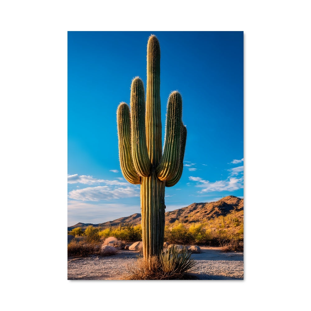 Poster Saguaro Sunset