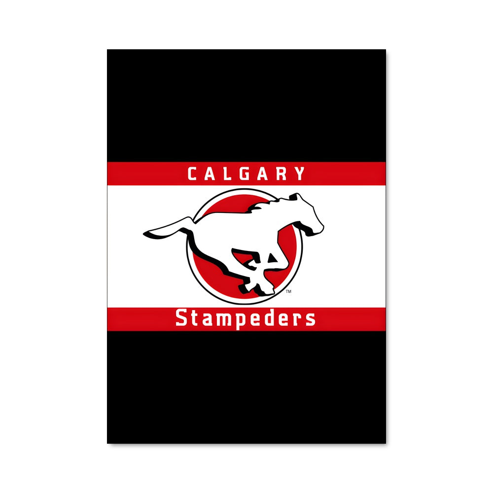 Poster Calgary Spirit