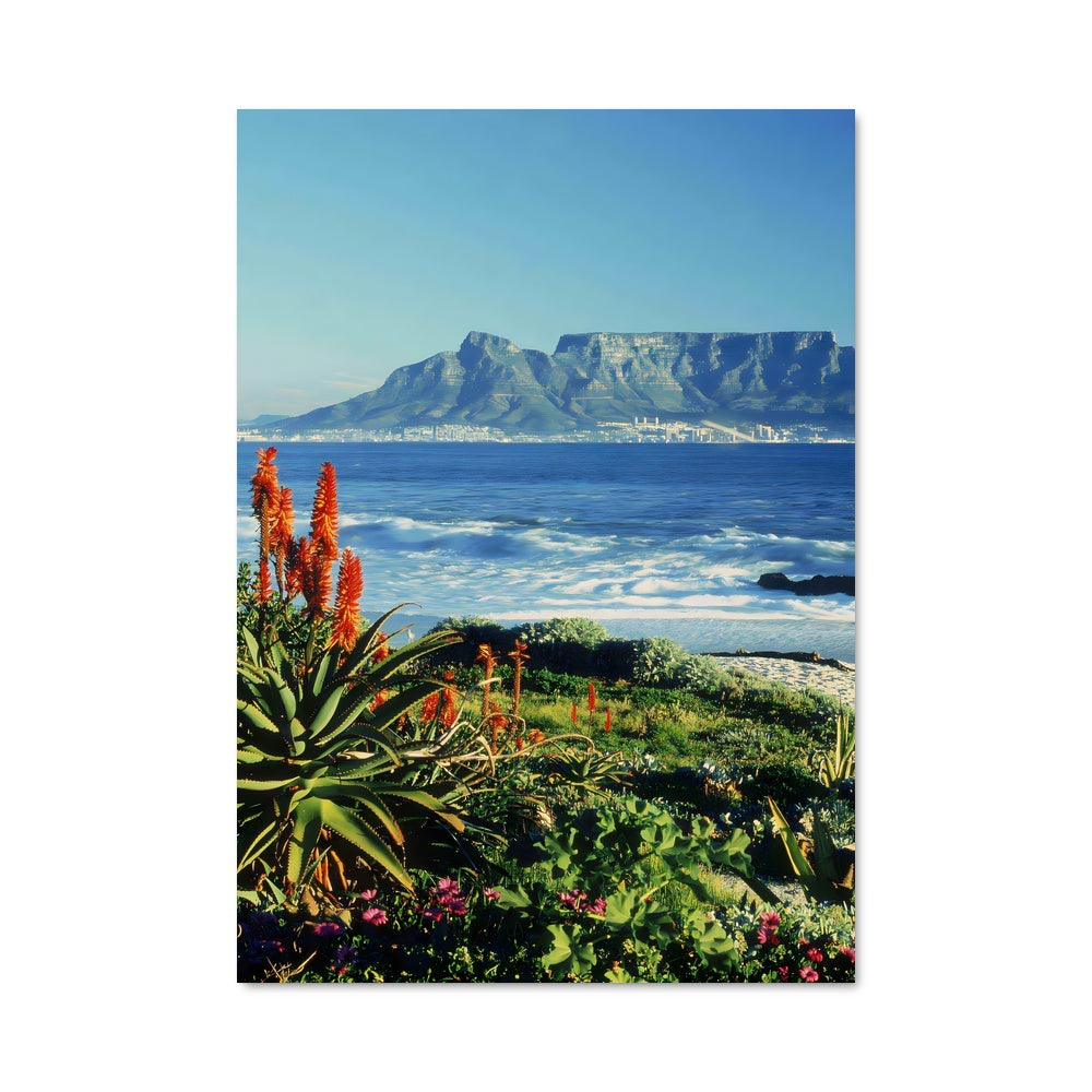 Poster Table Mountain Serenity