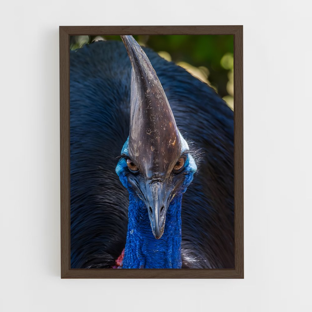 ap-cassowary-3 cadre Bois foncé