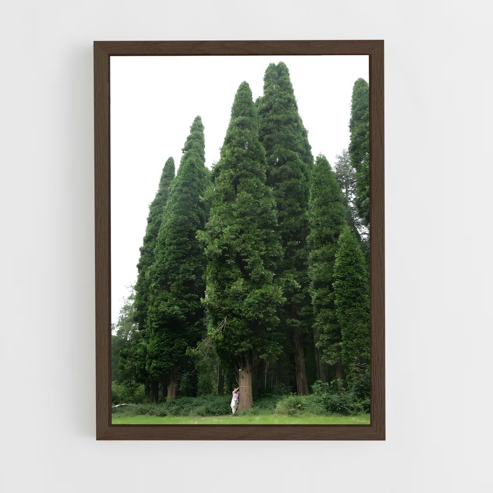 ap-cedar-4 cadre Bois foncé