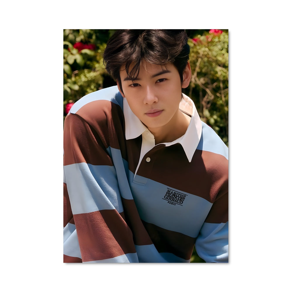 Poster Cha eun-woo 47818