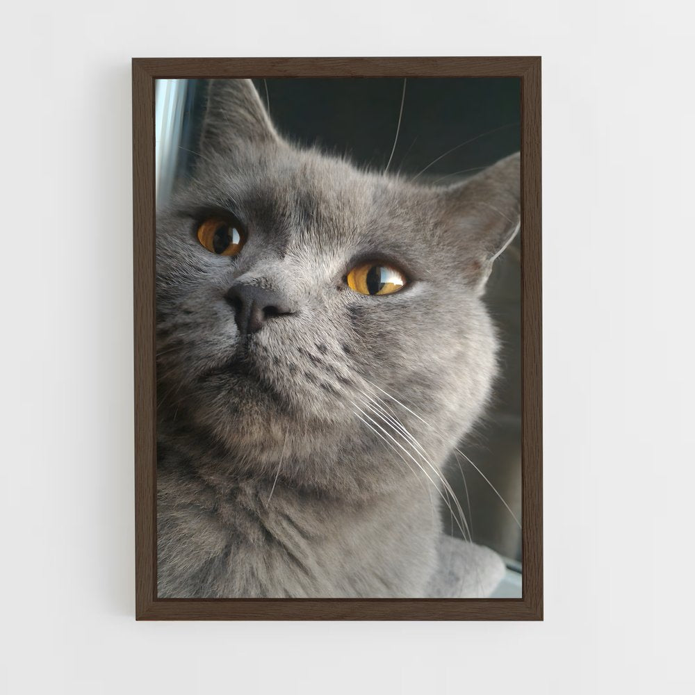 ap-chartreux-5 cadre Bois foncé