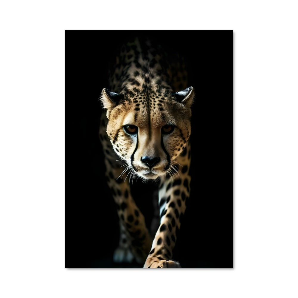 Poster Cheetah Rush