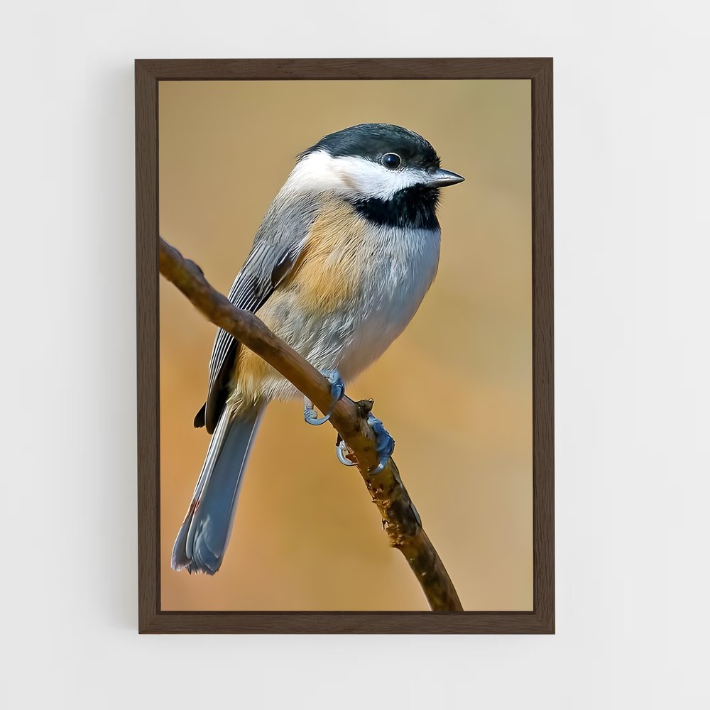 ap-chickadee-4 cadre Bois foncé