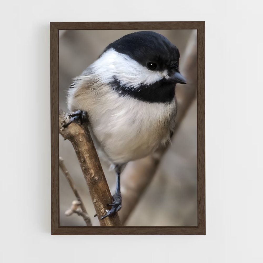 ap-chickadee-6 cadre Bois foncé