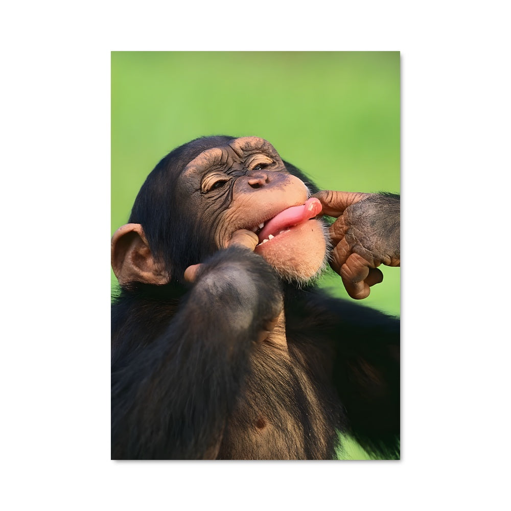 Poster Petit Singe Gourmand