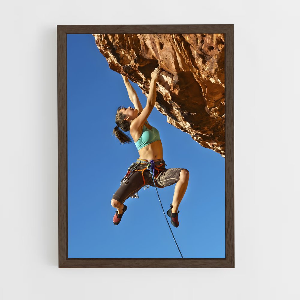 ap-climbing-3 cadre Bois foncé