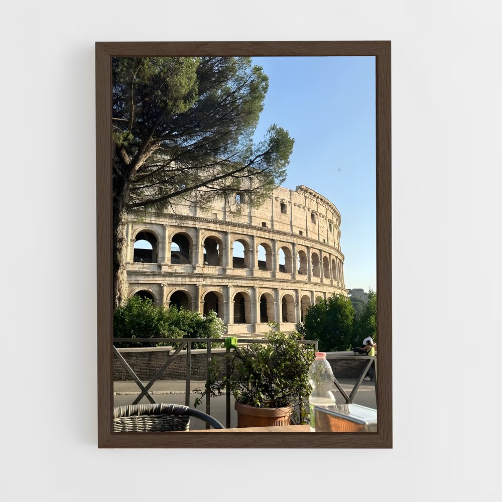 ap-colosseum-13 cadre Bois foncé