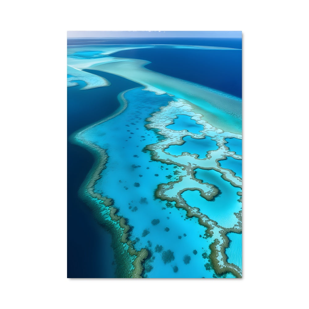 Poster Plongée dans le Coral