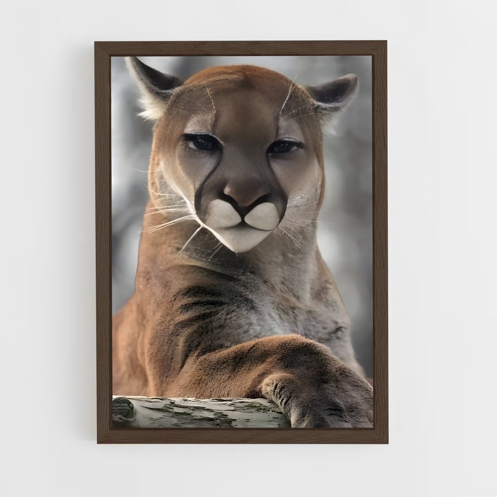ap-cougar-1 cadre Bois foncé