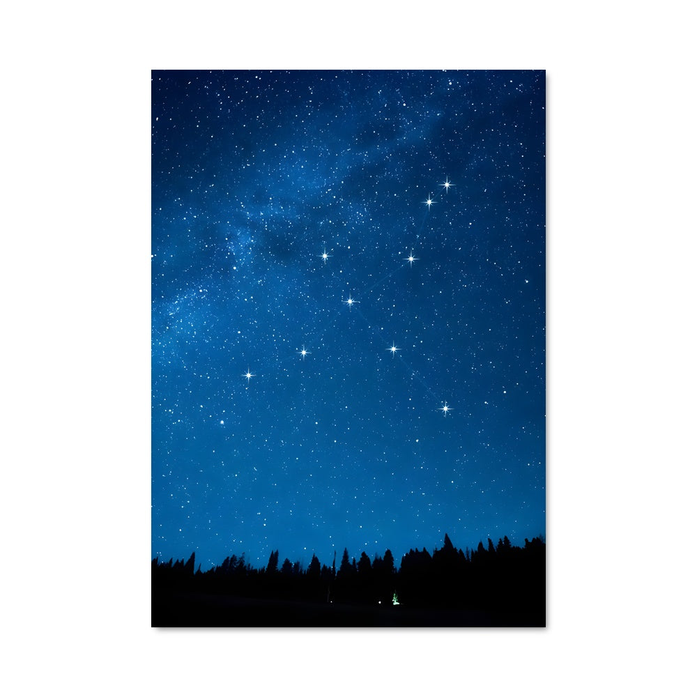 Poster Nocturne Étoilée