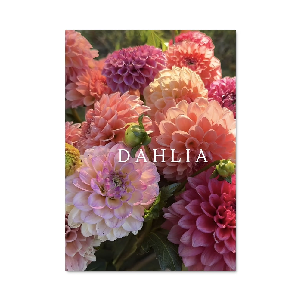 Poster Danse des Dahlias