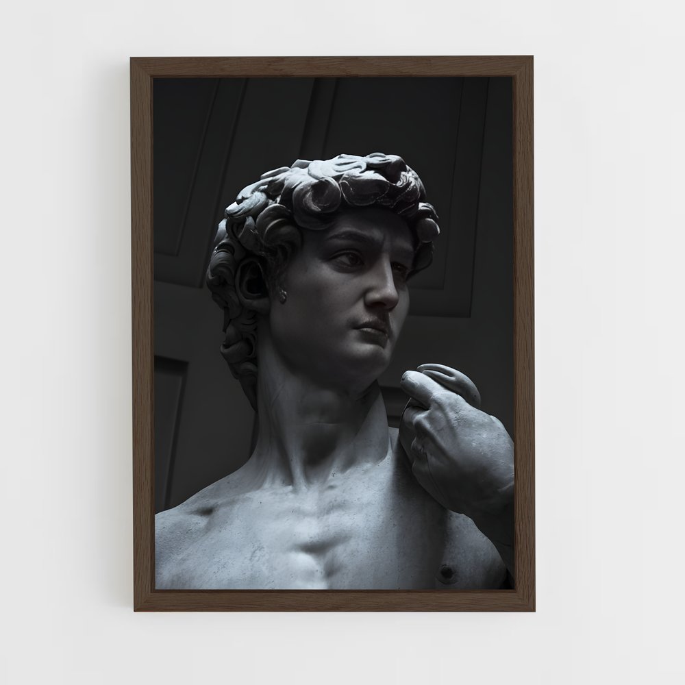 ap-david michelangelo-1 cadre Bois foncé