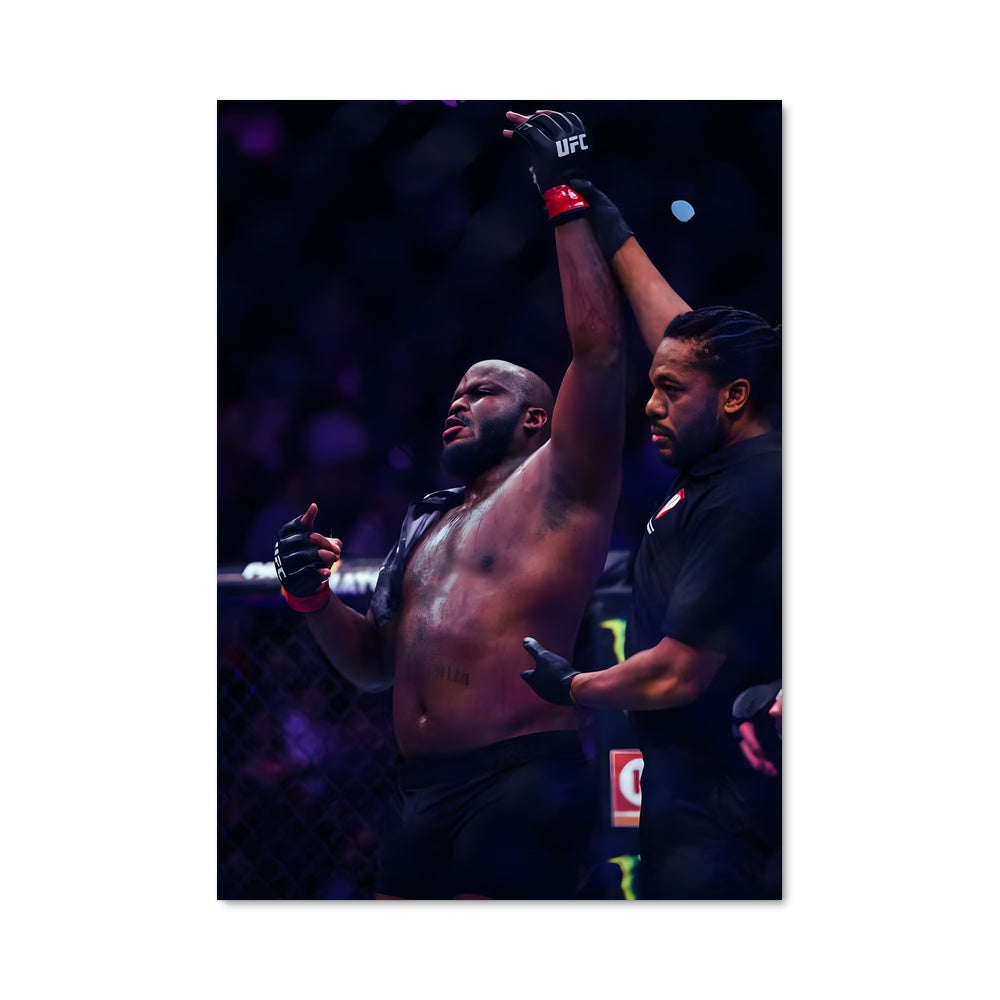 Poster The Undertaker's Fury