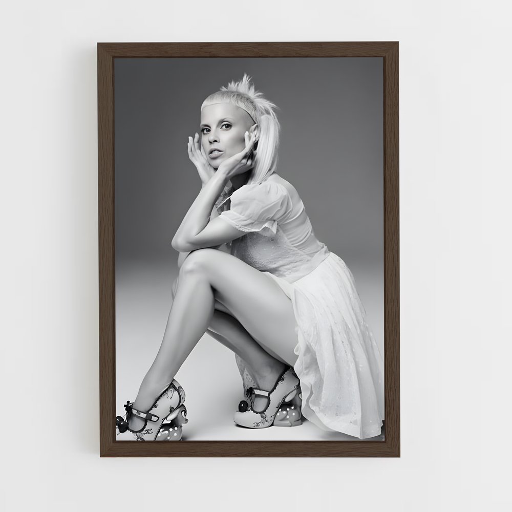 ap-die antwoord-2 cadre Bois foncé