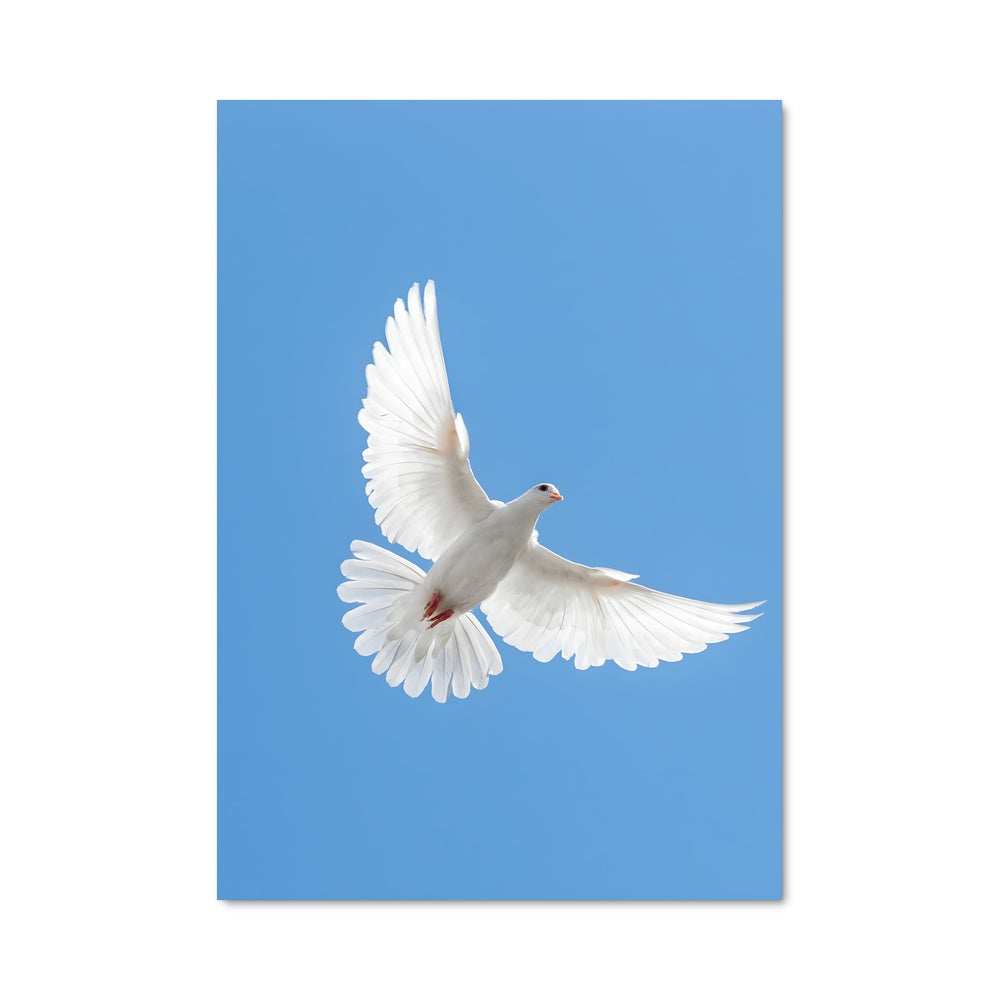 Poster Liberté Éthérée