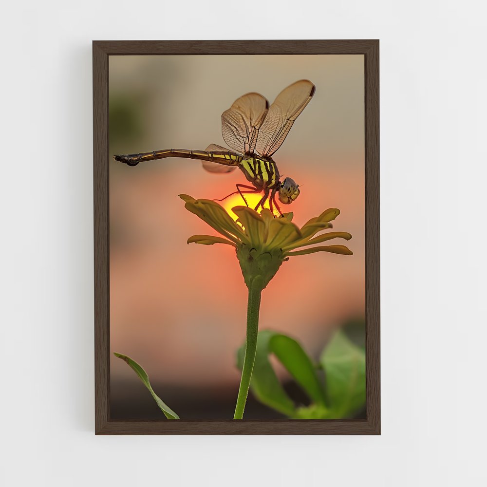 ap-dragonfly-9 cadre Bois foncé